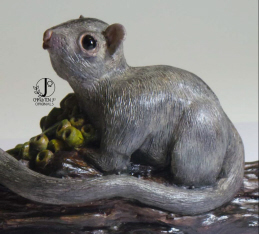 Leadbeater's Possum