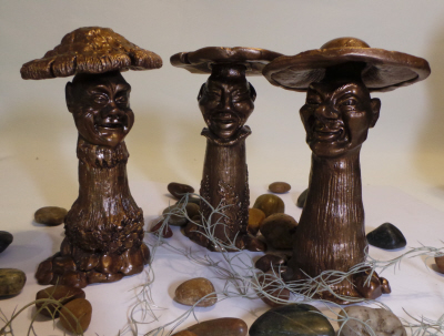 Fun-Guys of the Great Forest National Park