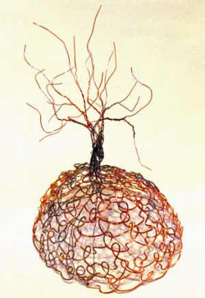 one tree 4_000_20171109150024